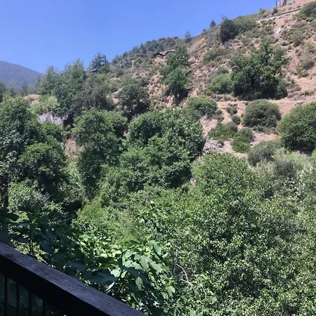 Linos كاكوبرتريا