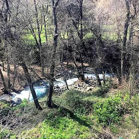 Πανδοχείο πανδοχείο λινός Κακοπετριά